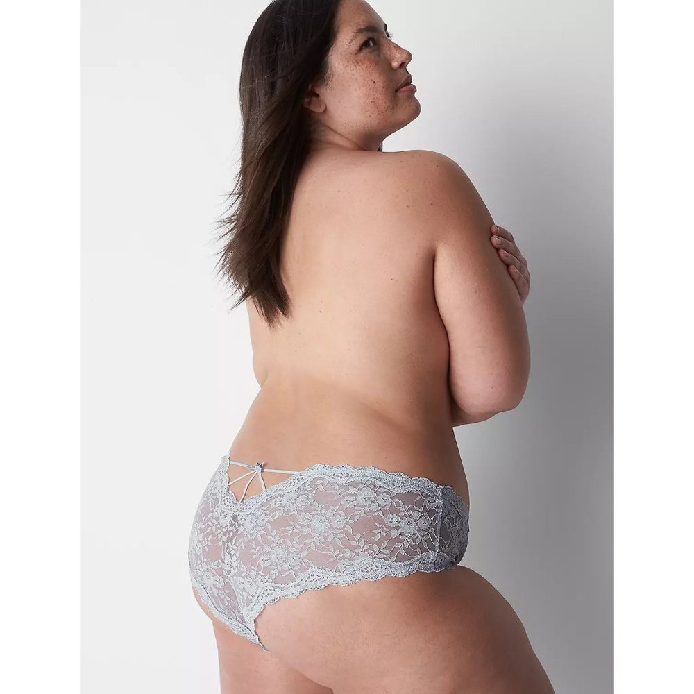 NEW Lane Bryant Cacique Allover Lace Cheeky Panty Gray Dawn Plus Size 26/28